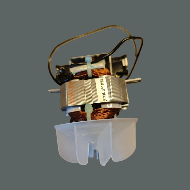 Motor de secador de pelo rentable-