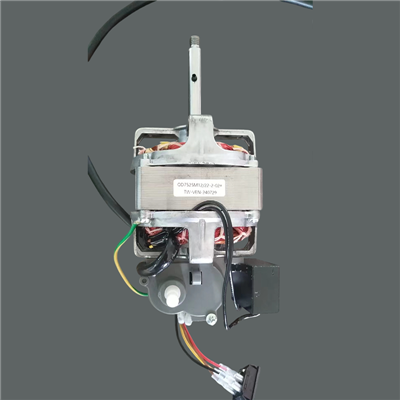 Motor de ventilador de doble voltaje