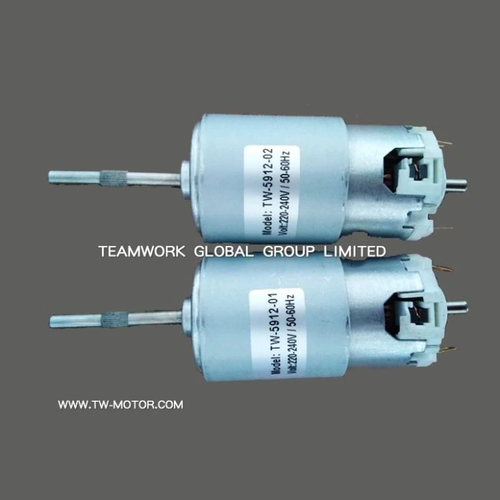 Long Axis DC Motor