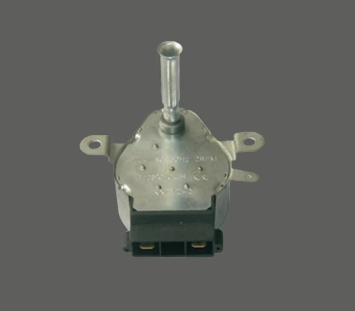 Pequeño motor síncrono