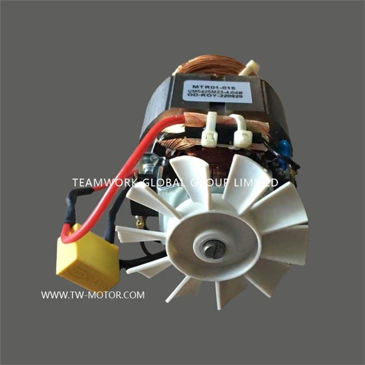 AC Universal Motor 5425