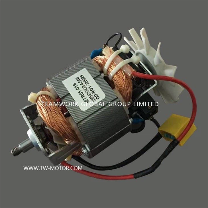AC Universal Motor 5425