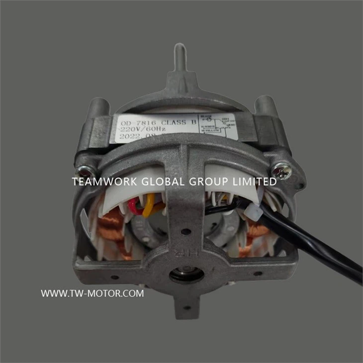 Fan Motor Without A Gear Motor.