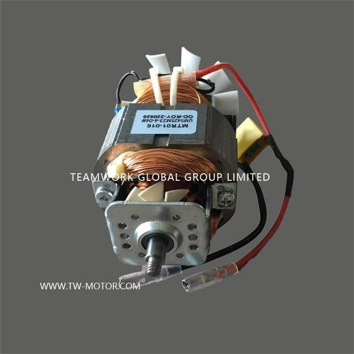 Household Food Grinder Motor