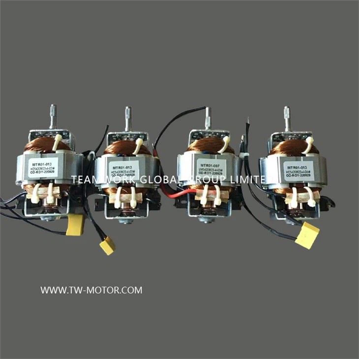 Multi-functional Grinder Motor