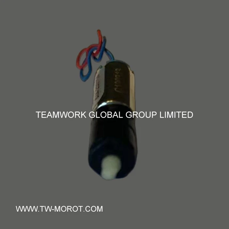 Digital Lock Motor