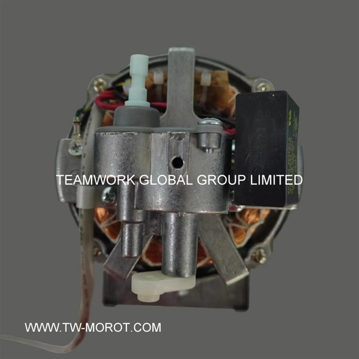 Household Ceiling Fan Motor