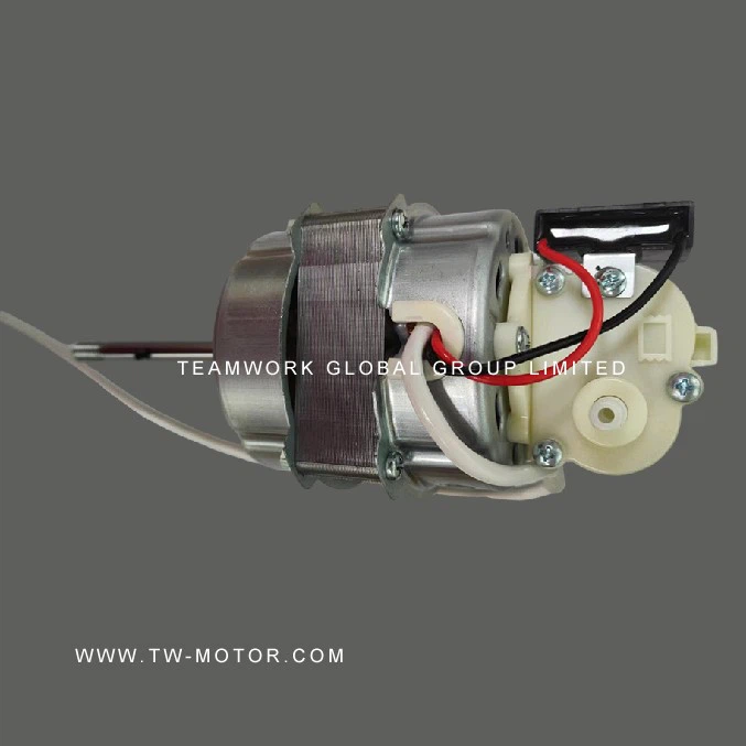 Household Fan Motor