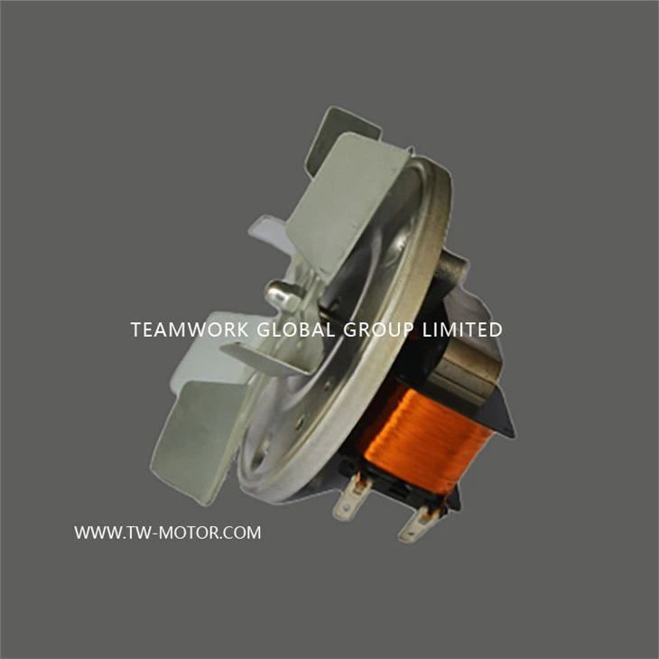 Household Oven Motor