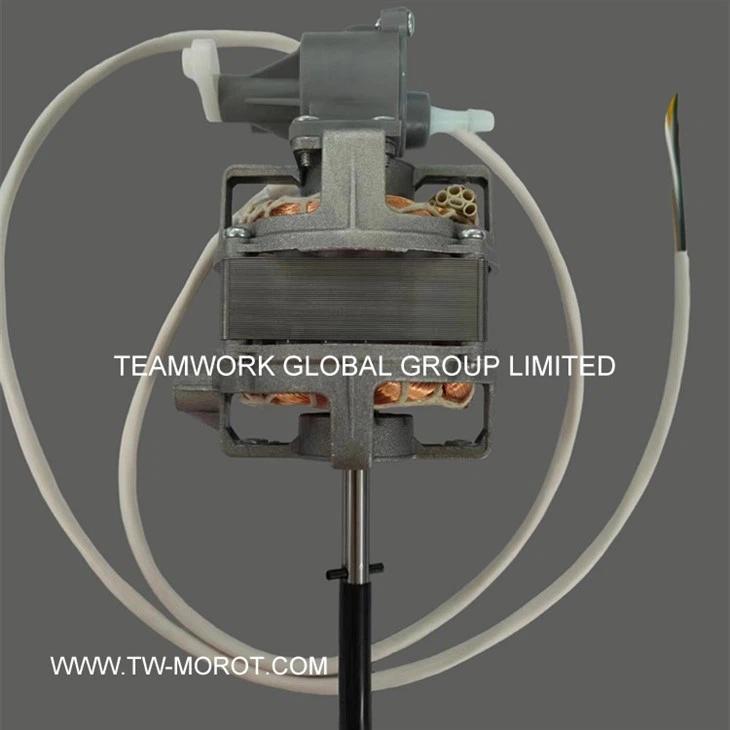 Medium Floor Fan Motor