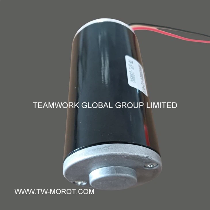 Professional Water Pump Motor