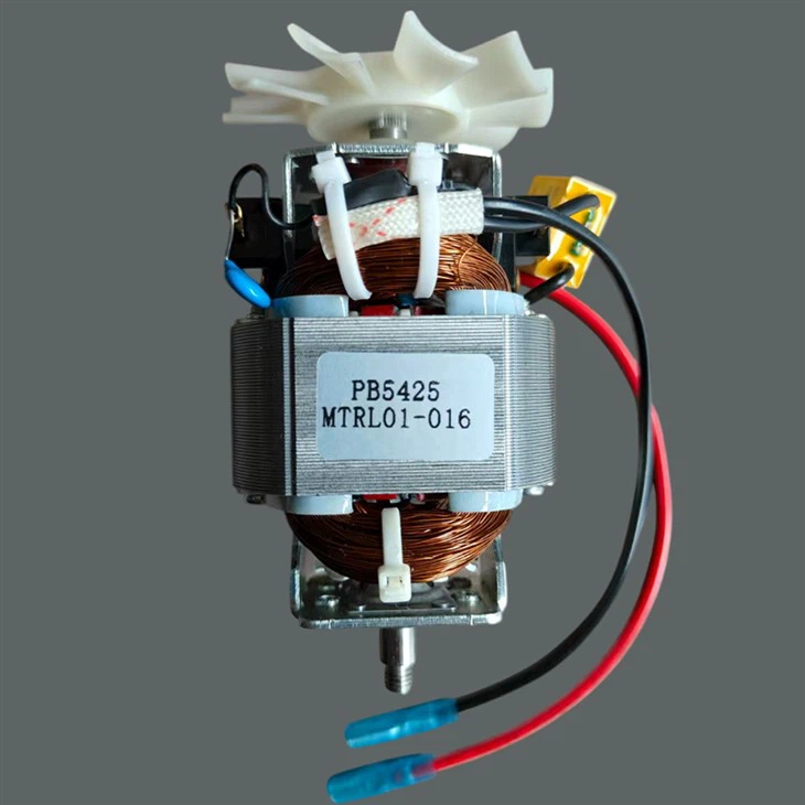 Powerful Commercial-Grade Blender Motor factory